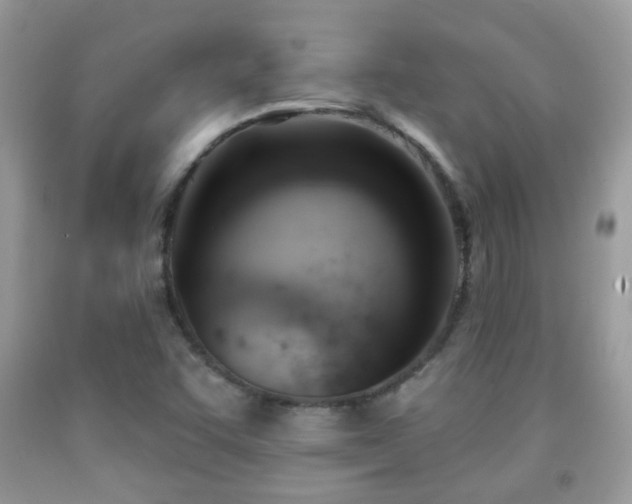 X0000091991455200709061408