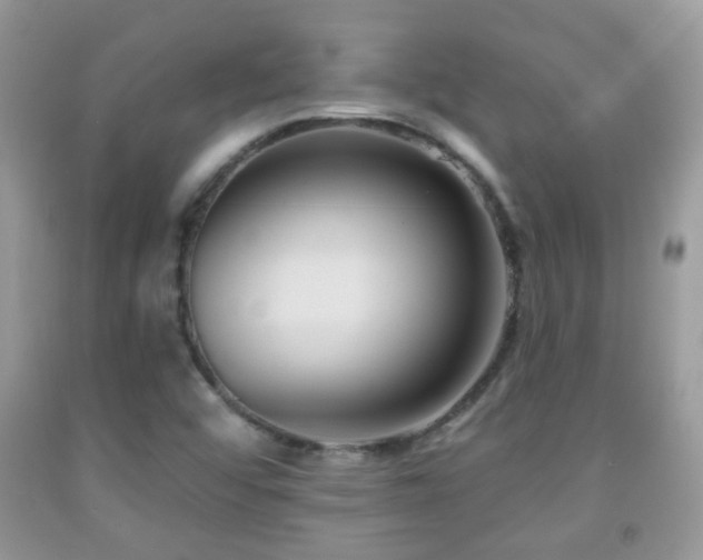 X0000091991456200709061408