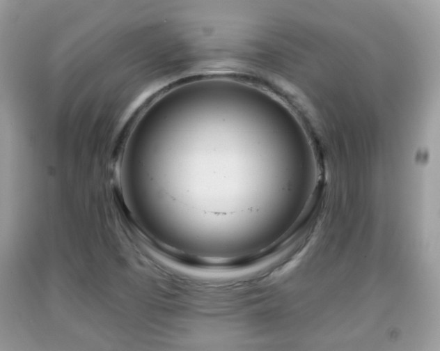 X0000091991457200709061408