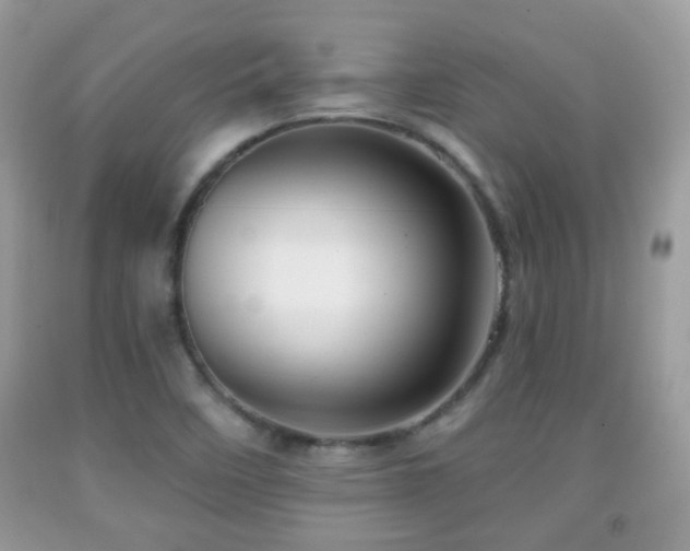 X0000091991458200709061408