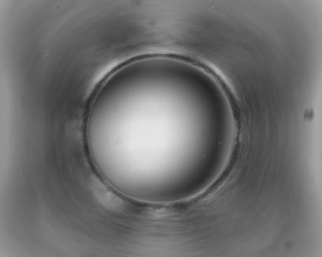 X0000091991460200709061408