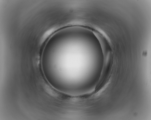 X0000091991461200709061408