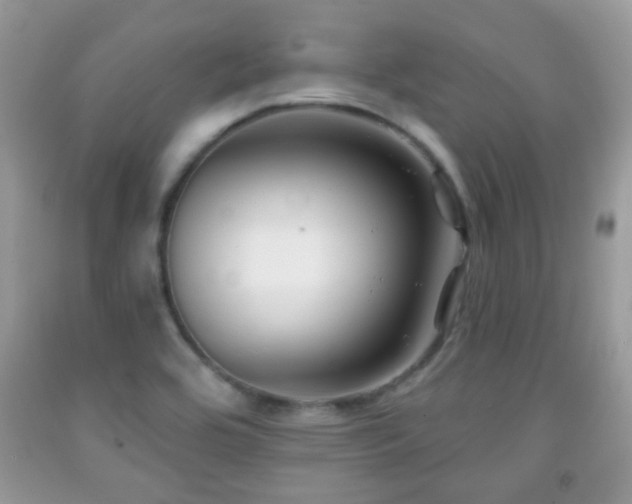 X0000091991464200709061408