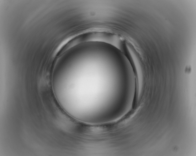 X0000091991465200709061408