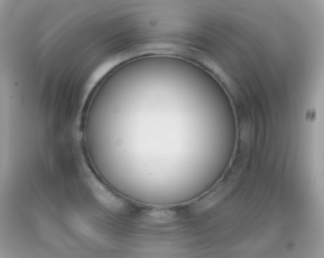 X0000091991466200709061408