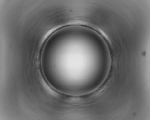 X0000091991468200709061408