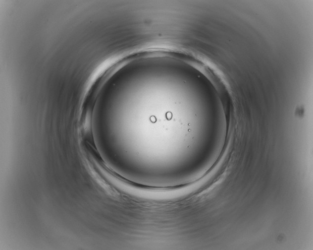 X0000091991469200709061408
