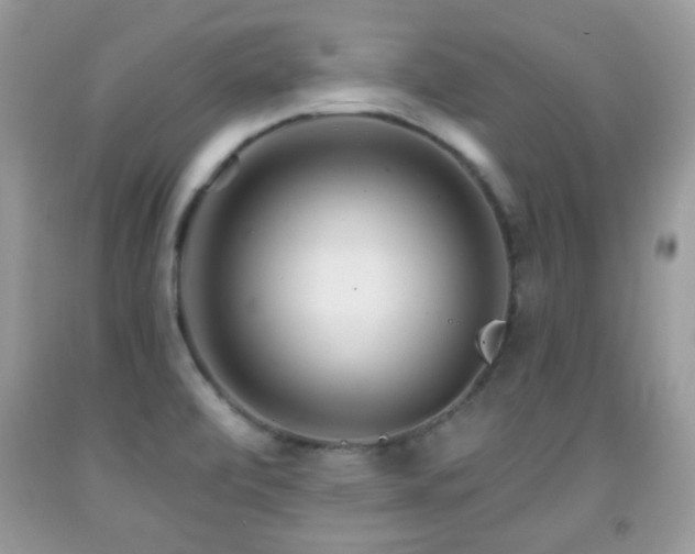 X0000091991472200709061408
