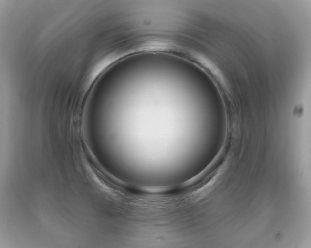 X0000091991473200709061408