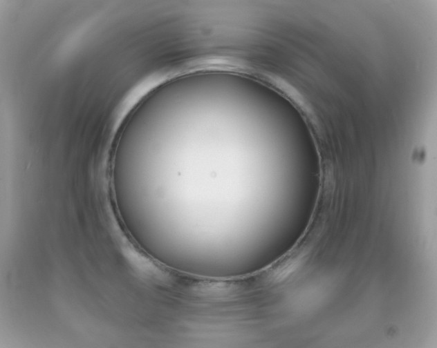 X0000091991474200709061408