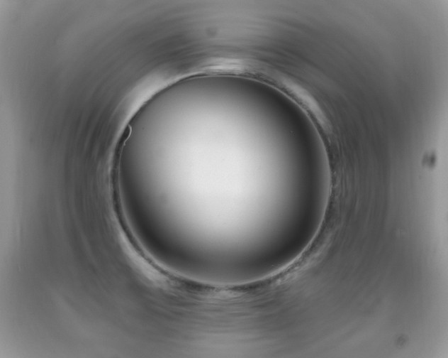 X0000091991475200709061408