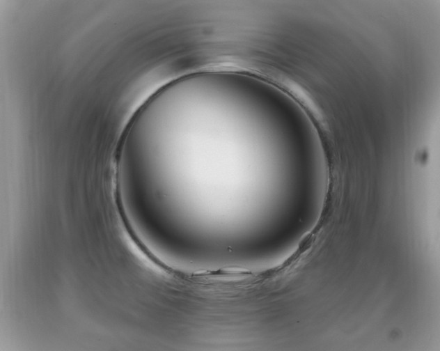 X0000091991476200709061408