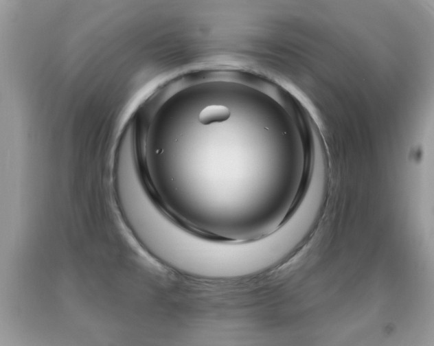 X0000091991477200709061408