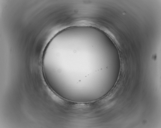X0000091991478200709061408
