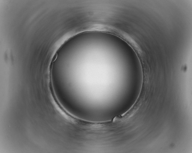X0000091991479200709061408