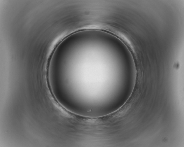 X0000091991480200709061408