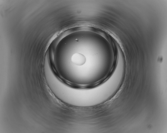 X0000091991481200709061408