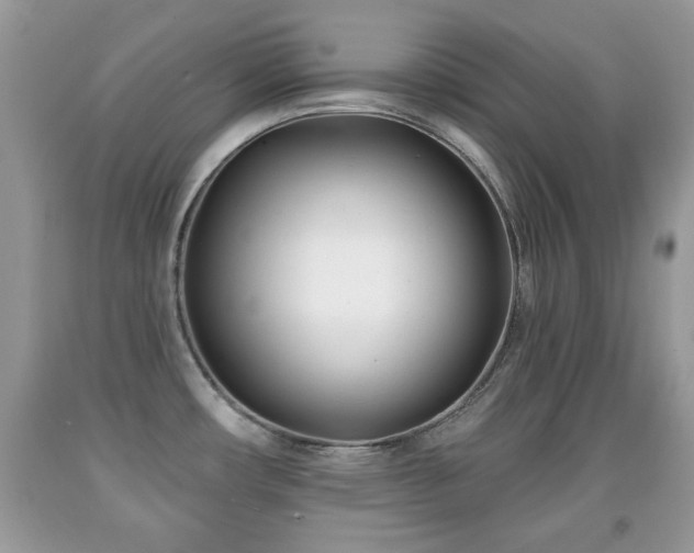 X0000091991482200709061408