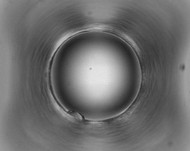 X0000091991483200709061408