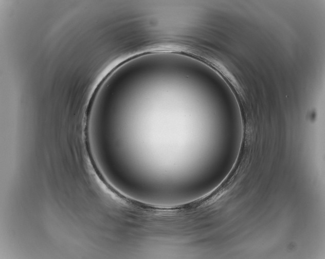 X0000091991484200709061408