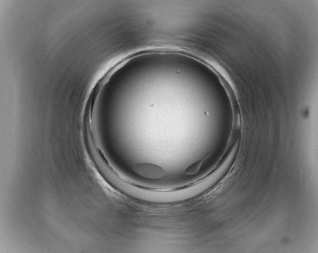 X0000091991485200709061408