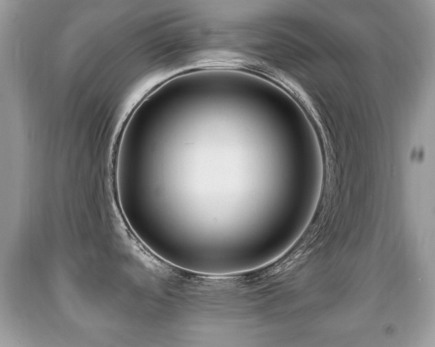 X0000091991488200709061408