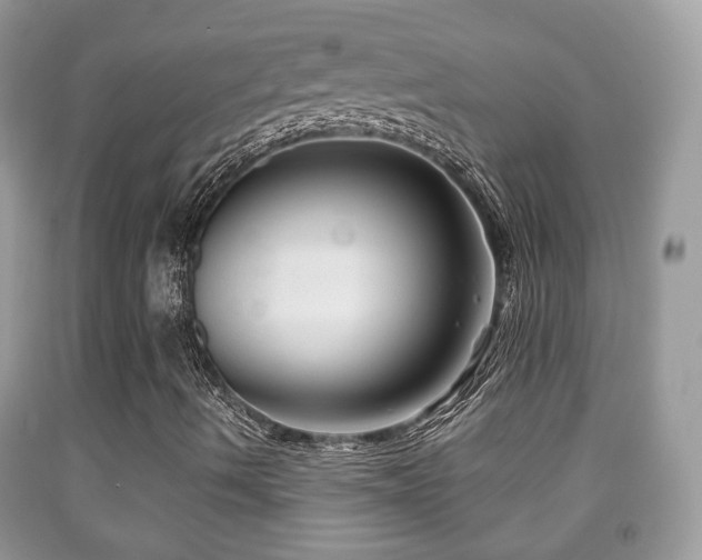 X0000091991490200709061407