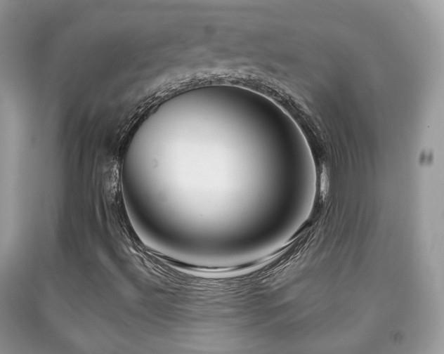 X0000091991492200709061407