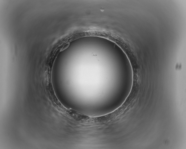 X0000091991493200709061407