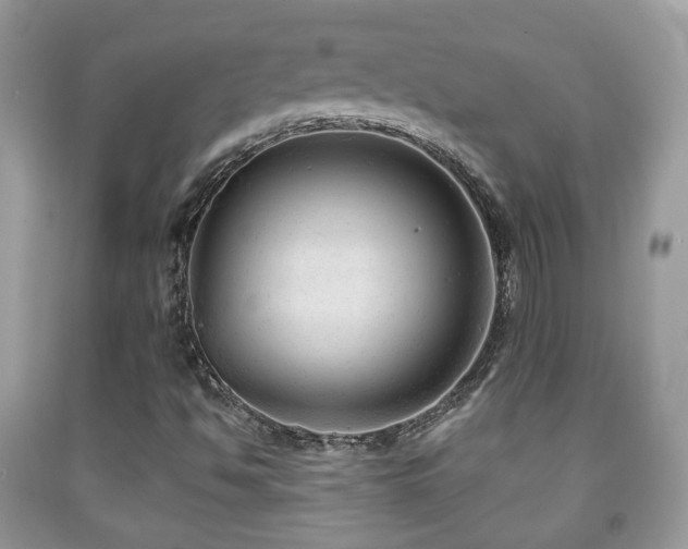 X0000091991494200709061407
