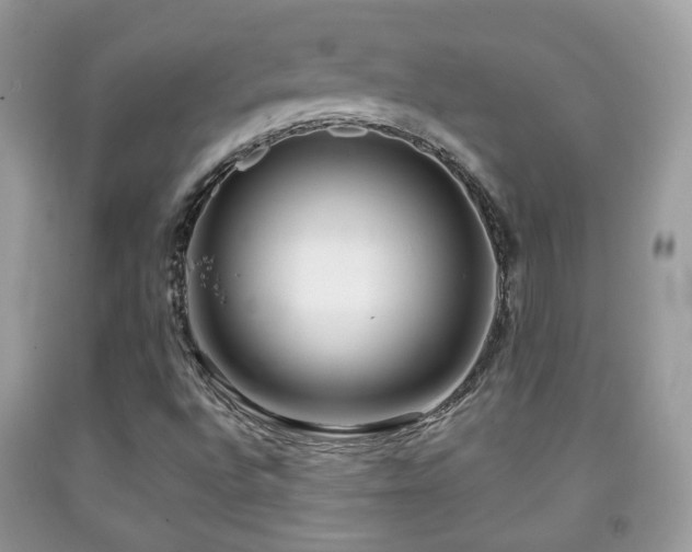 X0000091991496200709061407