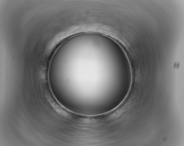 X0000091991499200709061408
