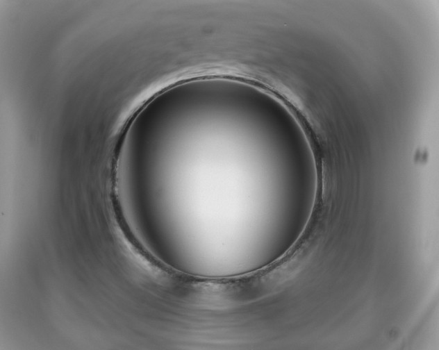 X0000091991500200709061408