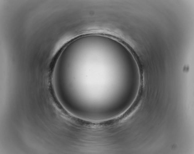 X0000091991501200709061408