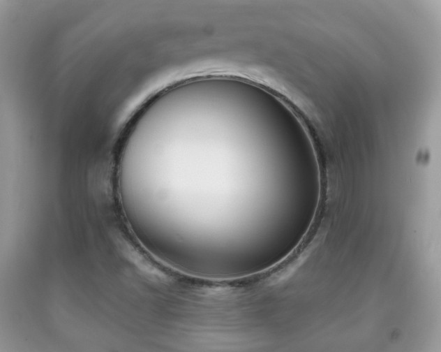 X0000091991502200709061408