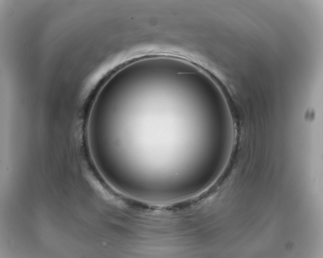 X0000091991503200709061408