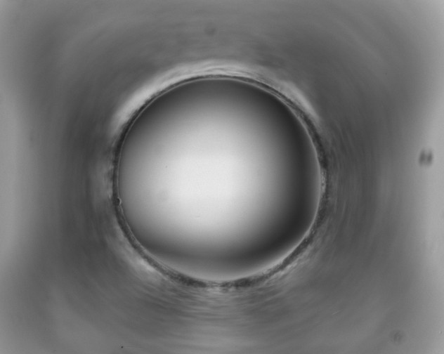 X0000091991504200709061408
