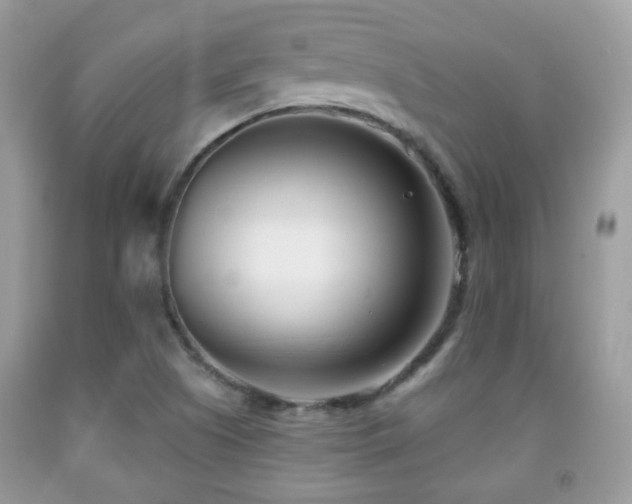 X0000091991505200709061408