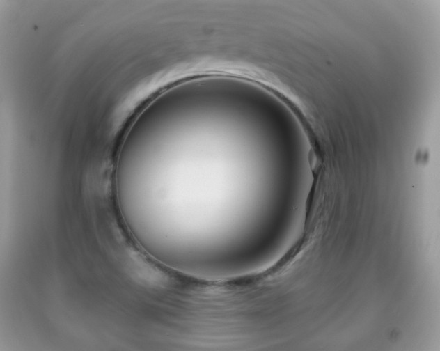 X0000091991507200709061408