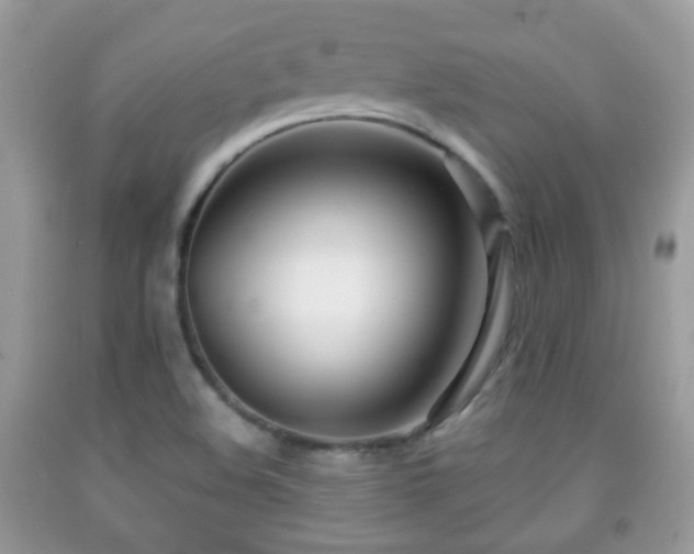 X0000091991508200709061408