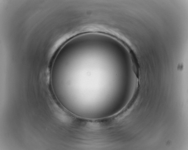 X0000091991509200709061408