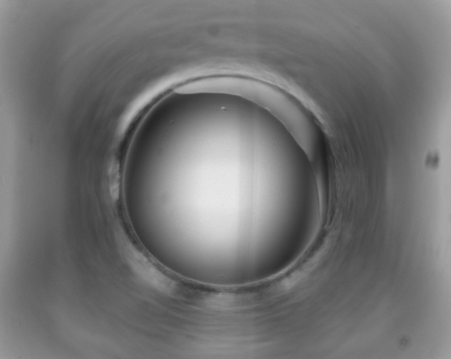 X0000091991510200709061408