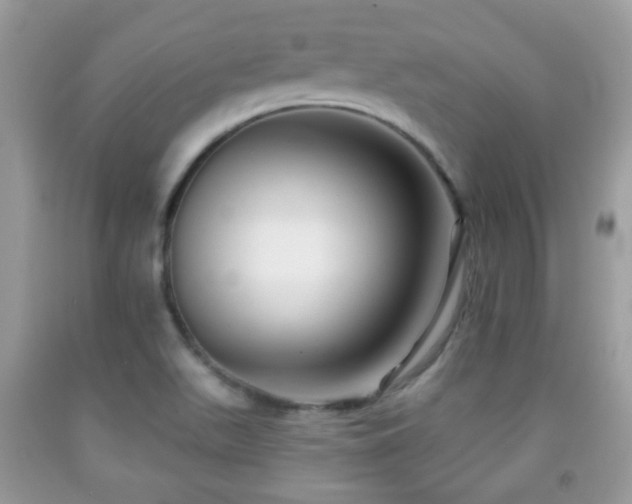 X0000091991511200709061408