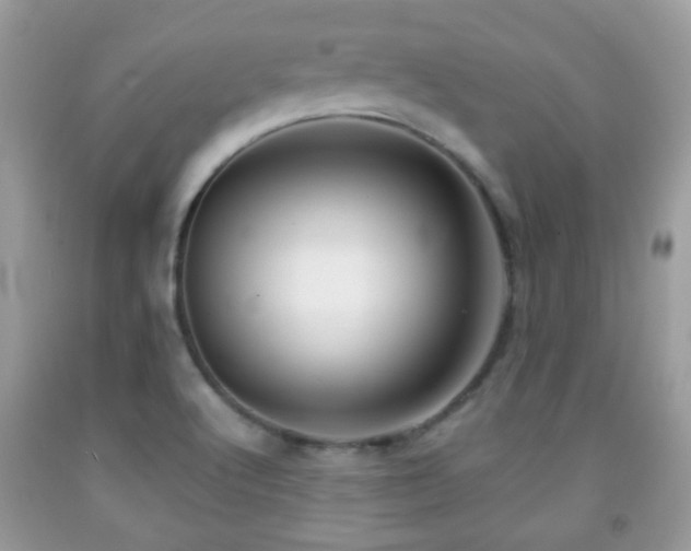 X0000091991512200709061408