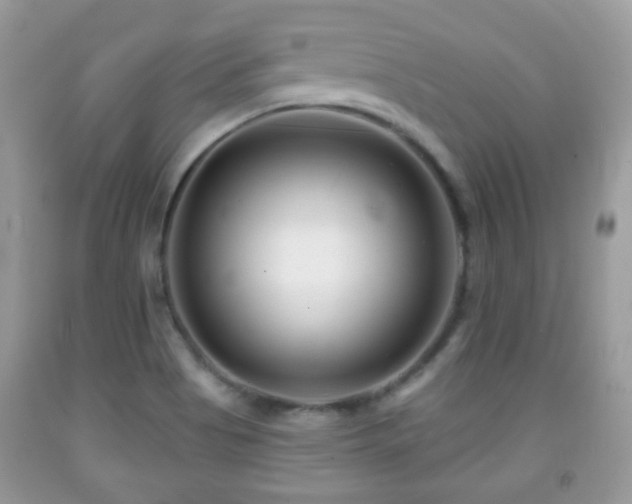 X0000091991513200709061408
