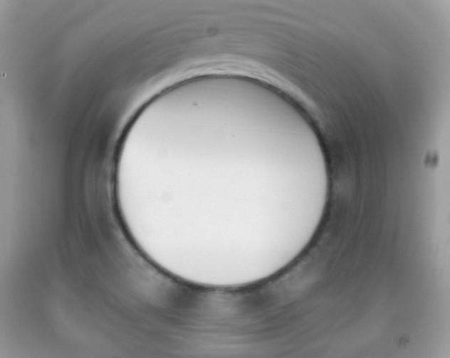 X0000091991514200709061408