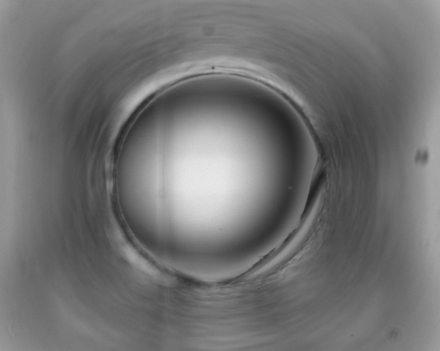 X0000091991515200709061408