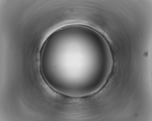 X0000091991516200709061408