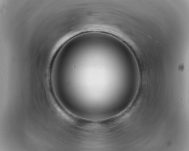 X0000091991517200709061408