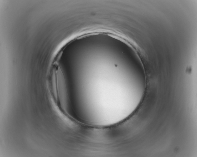 X0000091991518200709061408